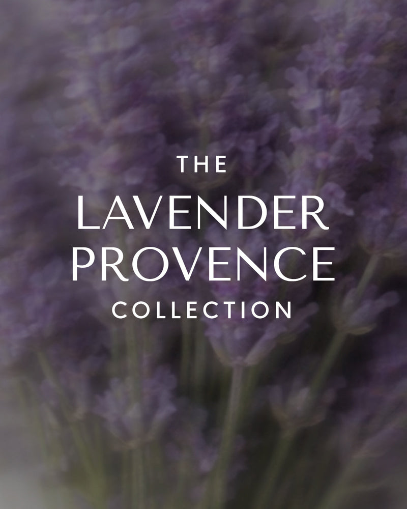 Lavender Provence Collection