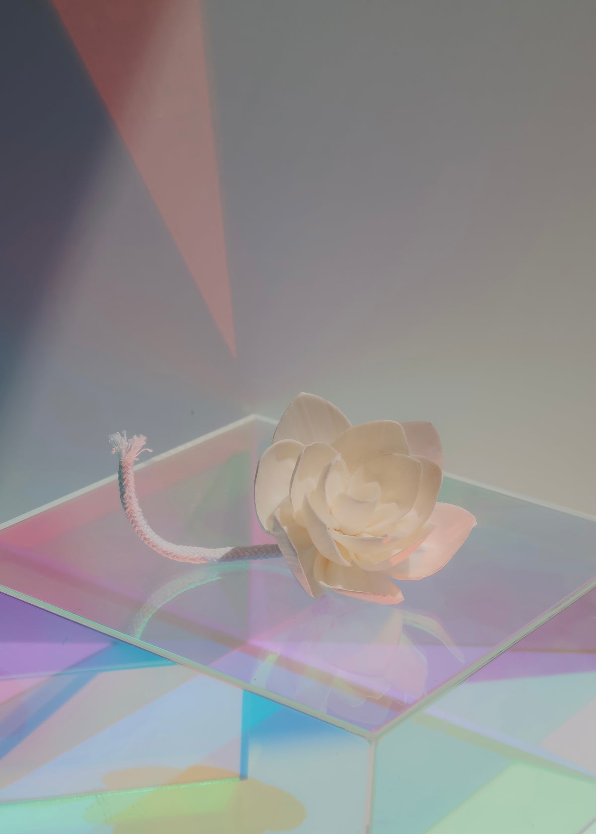 Flower Diffuser Reeds