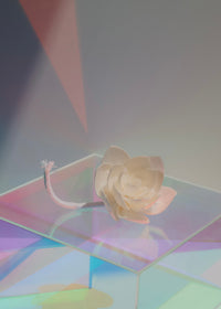 Flower Diffuser Reeds