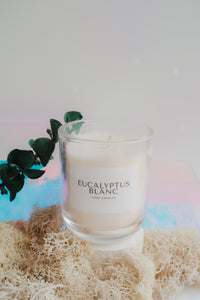 Eucalyptus Blanc - 10oz Candle