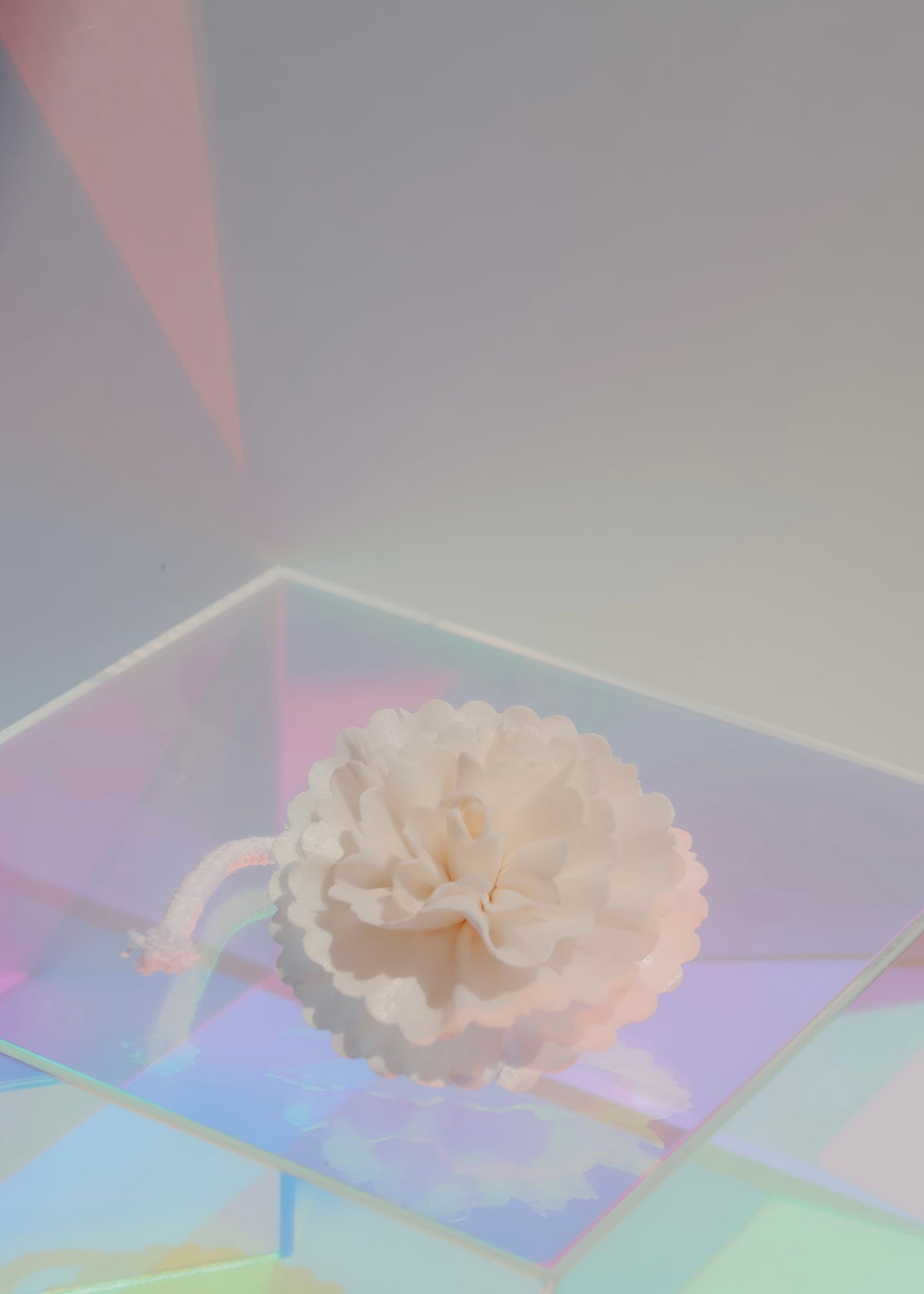 Flower Diffuser Reeds