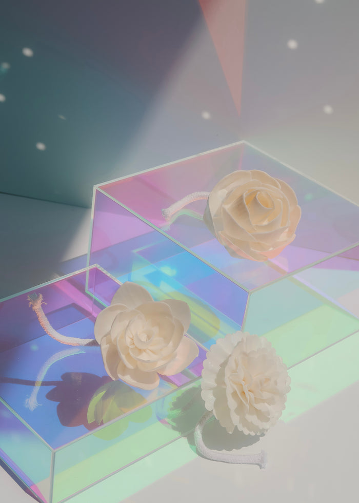 Flower Diffuser Reeds