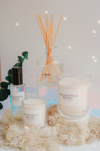 Eucalyptus Blanc - 10oz Candle