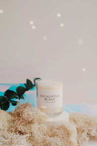 Eucalyptus Blanc - 3.5oz Candle