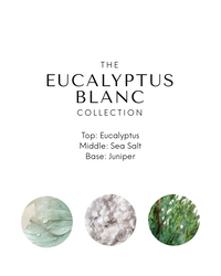 Eucalyptus Blanc - Reed Diffuser