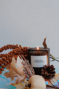 Velvet Cashmere - 10oz Candle