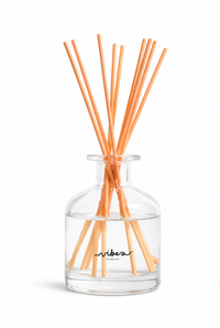 Eucalyptus Blanc - Reed Diffuser