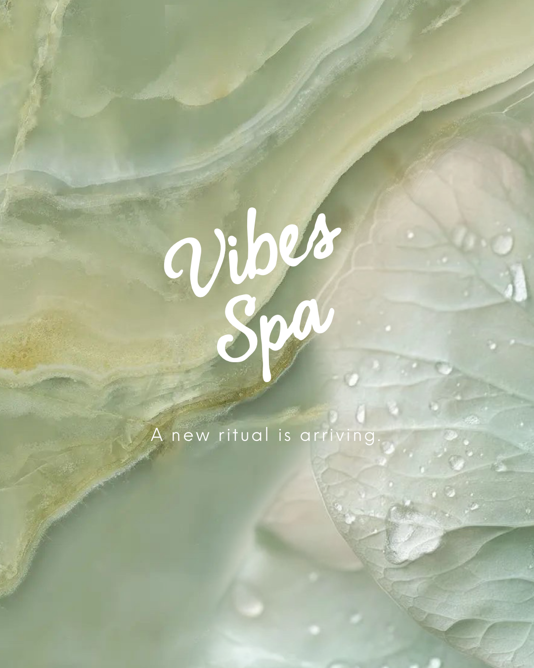 Eucalyptus Blanc - Room Spray