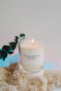 Eucalyptus Blanc - 10oz Candle