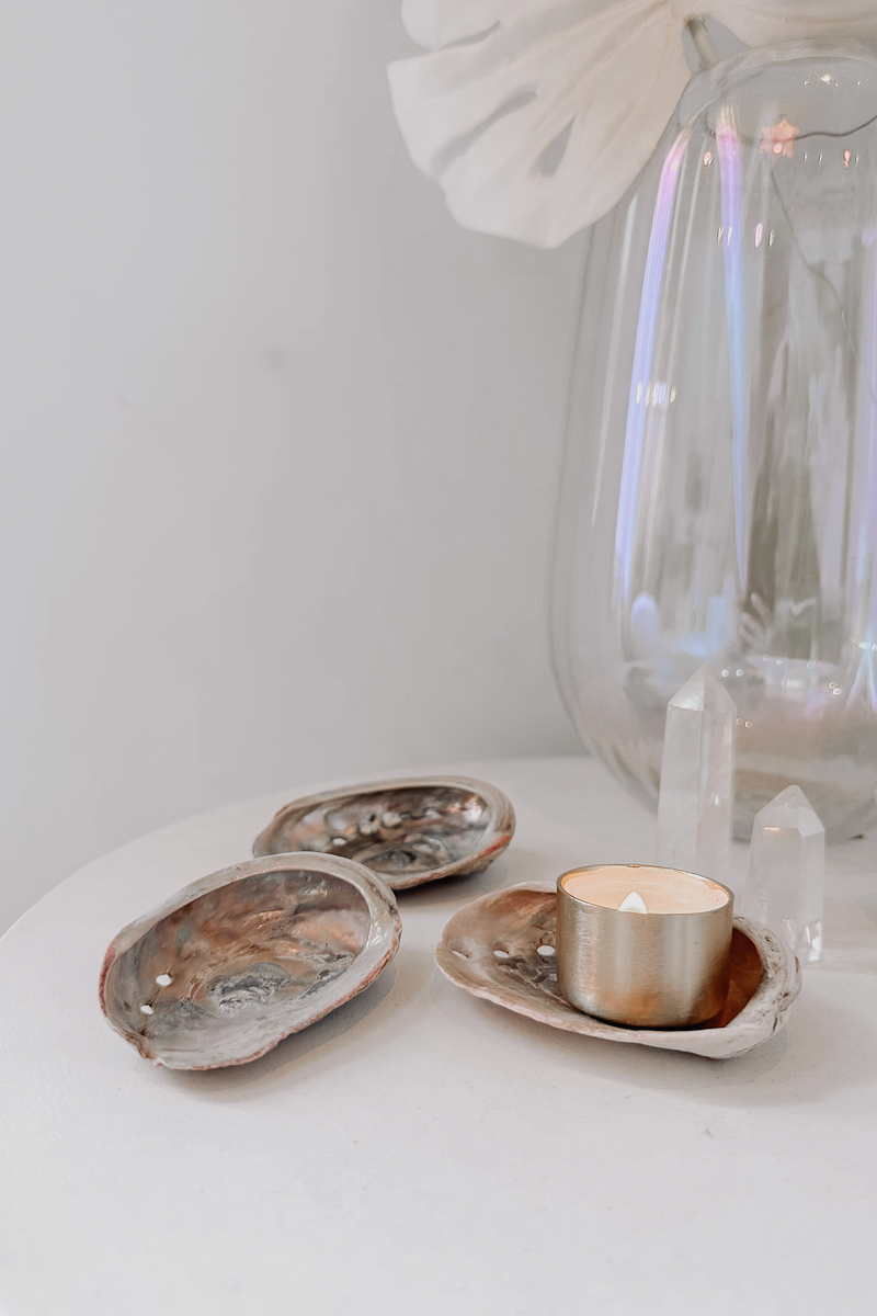 Abalone Dish