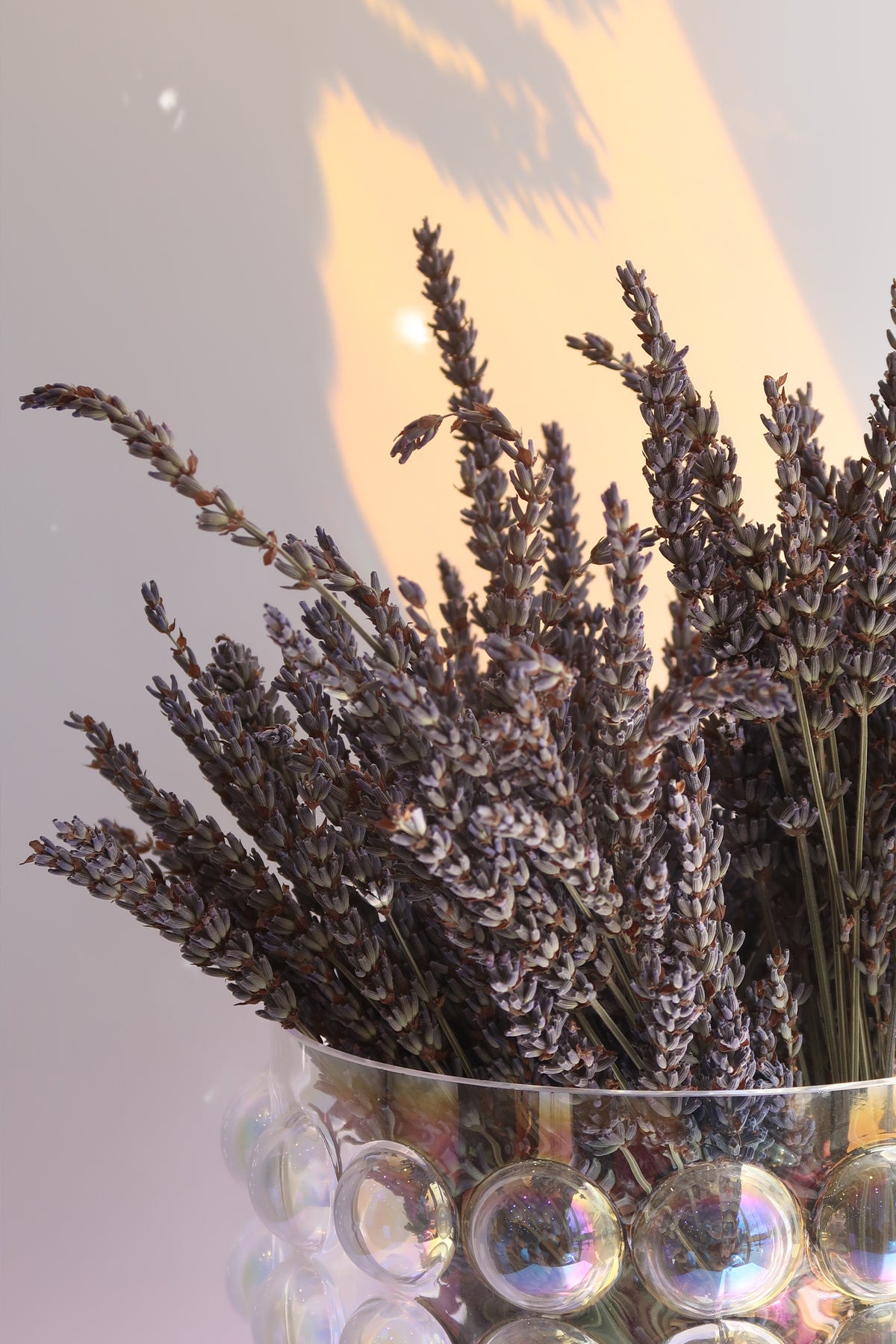 Dried lavender in a metallic vase with a soft light background