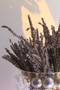 Dried lavender in a metallic vase with a soft light background
