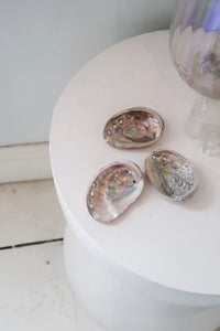 Abalone Dish