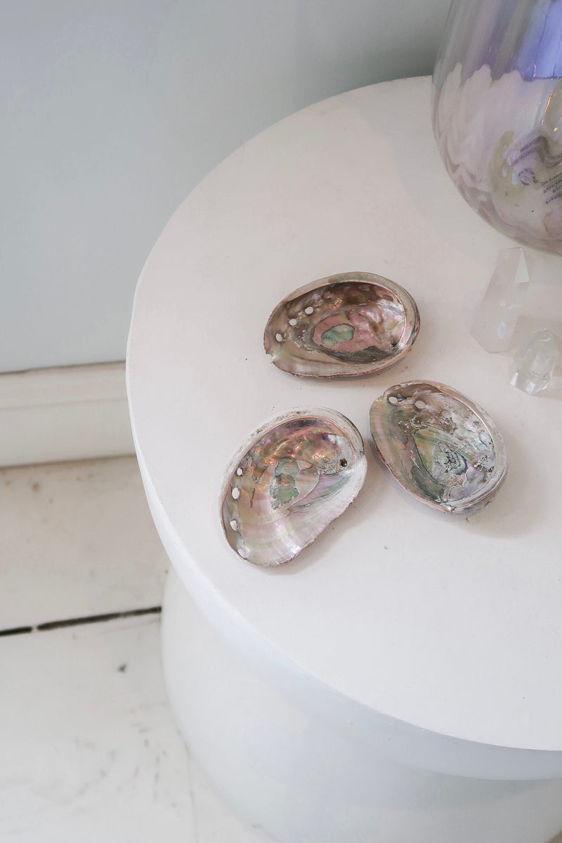 Abalone Dish